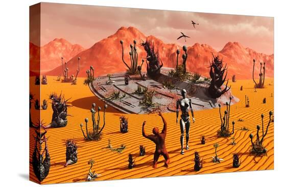 Stretched Canvas Print, , large