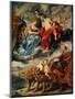 The First Meeting Between Marie De Medicis and the King at Lyons-Peter Paul Rubens-Mounted Giclee Print