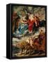 The First Meeting Between Marie De Medicis and the King at Lyons-Peter Paul Rubens-Framed Stretched Canvas