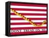 The First Navy Jack Authorized by the U.S. Navy-Stocktrek Images-Framed Stretched Canvas