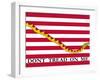 The First Navy Jack Authorized by the U.S. Navy-Stocktrek Images-Framed Photographic Print