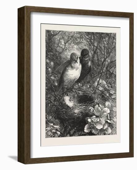 The First Nest, 1876, Bird, Birds, Spring, Nature-null-Framed Giclee Print