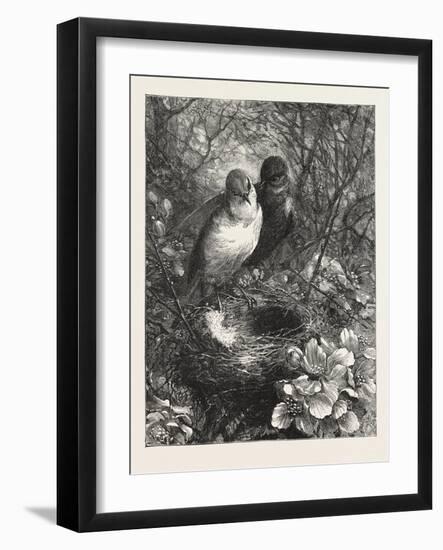 The First Nest, 1876, Bird, Birds, Spring, Nature-null-Framed Giclee Print