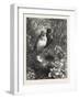 The First Nest, 1876, Bird, Birds, Spring, Nature-null-Framed Giclee Print