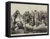 The First of April, a Sketch at the Boat-Race-Frederick Barnard-Framed Stretched Canvas