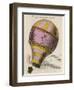 The First Passenger-Carrying Flight is Made by a Hot-Air Balloon-null-Framed Photographic Print