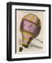 The First Passenger-Carrying Flight is Made by a Hot-Air Balloon-null-Framed Photographic Print