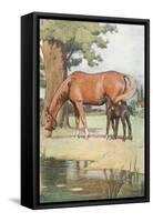 The First Place That I Can Well Remember, Was a Large Pleasant Meadow with a Pond of Clear Water…-Cecil Aldin-Framed Stretched Canvas