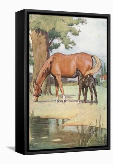 The First Place That I Can Well Remember, Was a Large Pleasant Meadow with a Pond of Clear Water…-Cecil Aldin-Framed Stretched Canvas