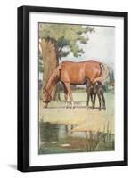 The First Place That I Can Well Remember, Was a Large Pleasant Meadow with a Pond of Clear Water…-Cecil Aldin-Framed Giclee Print