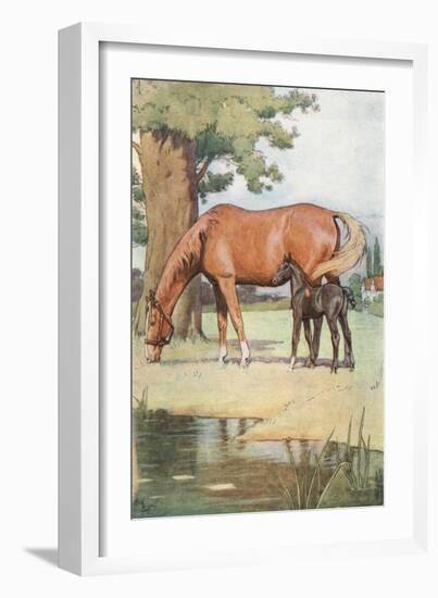 The First Place That I Can Well Remember, Was a Large Pleasant Meadow with a Pond of Clear Water…-Cecil Aldin-Framed Giclee Print