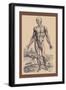 The First Plate of the Muscles-Andreas Vesalius-Framed Art Print