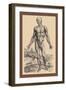 The First Plate of the Muscles-Andreas Vesalius-Framed Art Print