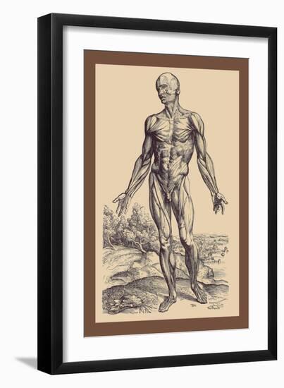 The First Plate of the Muscles-Andreas Vesalius-Framed Art Print