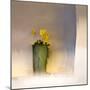 The First Primrose-Valda Bailey-Mounted Premium Photographic Print