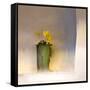 The First Primrose-Valda Bailey-Framed Stretched Canvas