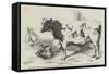 The First Prize Shorthorn-Harrison William Weir-Framed Stretched Canvas