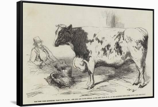 The First Prize Shorthorn-Harrison William Weir-Framed Stretched Canvas