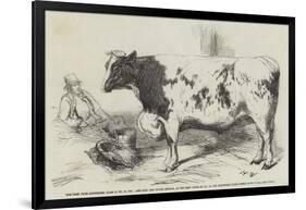 The First Prize Shorthorn-Harrison William Weir-Framed Giclee Print