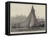 The First Race Between the Galatea and the Mayflower for the America Cup-null-Framed Stretched Canvas