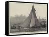 The First Race Between the Galatea and the Mayflower for the America Cup-null-Framed Stretched Canvas