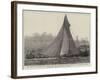 The First Race Between the Galatea and the Mayflower for the America Cup-null-Framed Giclee Print