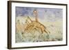 The First Rush of the Giraffes, 1861-Sir Samuel Baker-Framed Giclee Print