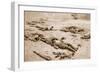 The First Stage Homewards: Regimental Stretcher-Bearers Bringing Wounded in from the Battlefield-null-Framed Giclee Print