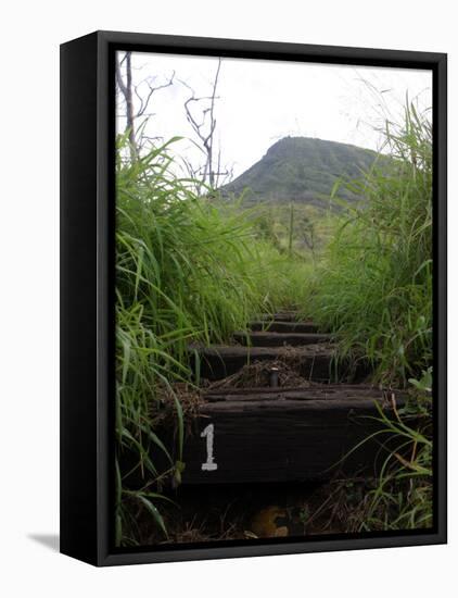 The First Step Invites Hikers up Koko Crater-Stocktrek Images-Framed Stretched Canvas