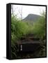 The First Step Invites Hikers up Koko Crater-Stocktrek Images-Framed Stretched Canvas