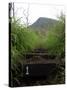 The First Step Invites Hikers up Koko Crater-Stocktrek Images-Stretched Canvas