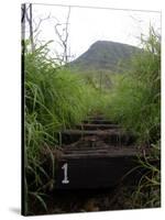 The First Step Invites Hikers up Koko Crater-Stocktrek Images-Stretched Canvas