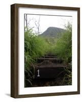 The First Step Invites Hikers up Koko Crater-Stocktrek Images-Framed Photographic Print