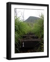 The First Step Invites Hikers up Koko Crater-Stocktrek Images-Framed Photographic Print