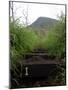 The First Step Invites Hikers up Koko Crater-Stocktrek Images-Mounted Photographic Print