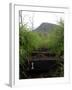 The First Step Invites Hikers up Koko Crater-Stocktrek Images-Framed Photographic Print