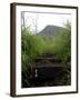 The First Step Invites Hikers up Koko Crater-Stocktrek Images-Framed Photographic Print