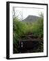 The First Step Invites Hikers up Koko Crater-Stocktrek Images-Framed Photographic Print