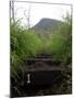 The First Step Invites Hikers up Koko Crater-Stocktrek Images-Mounted Photographic Print