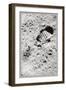 The First Step on the Moon-null-Framed Art Print