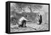 The First Steps-Jean-François Millet-Framed Stretched Canvas