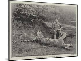 The First Tiger Shot by Prince Bughwan Singh, Aged Twelve-null-Mounted Giclee Print