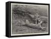 The First Tiger Shot by Prince Bughwan Singh, Aged Twelve-null-Framed Stretched Canvas