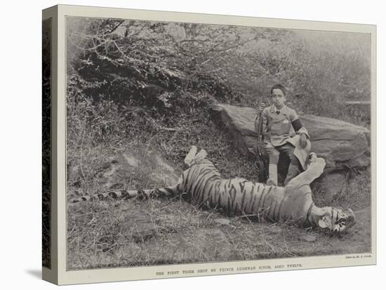 The First Tiger Shot by Prince Bughwan Singh, Aged Twelve-null-Stretched Canvas