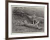 The First Tiger Shot by Prince Bughwan Singh, Aged Twelve-null-Framed Giclee Print
