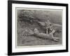 The First Tiger Shot by Prince Bughwan Singh, Aged Twelve-null-Framed Giclee Print