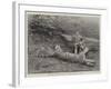 The First Tiger Shot by Prince Bughwan Singh, Aged Twelve-null-Framed Giclee Print