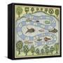 The Fish Game-Robin Betterley-Framed Stretched Canvas