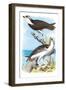 The Fish Hawk-Theodore Jasper-Framed Art Print