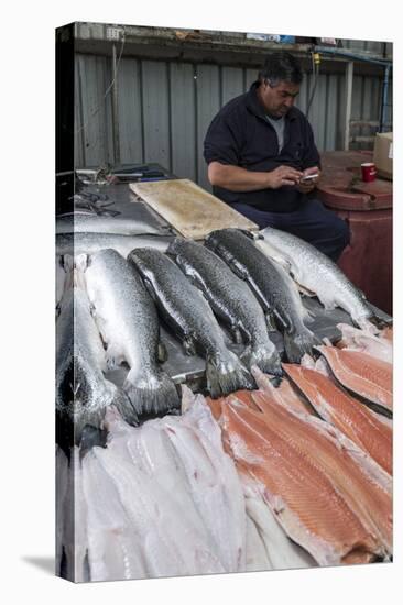 The fish market in Castro, Chiloe, Patagonia, Chile, South America-Alex Robinson-Stretched Canvas
